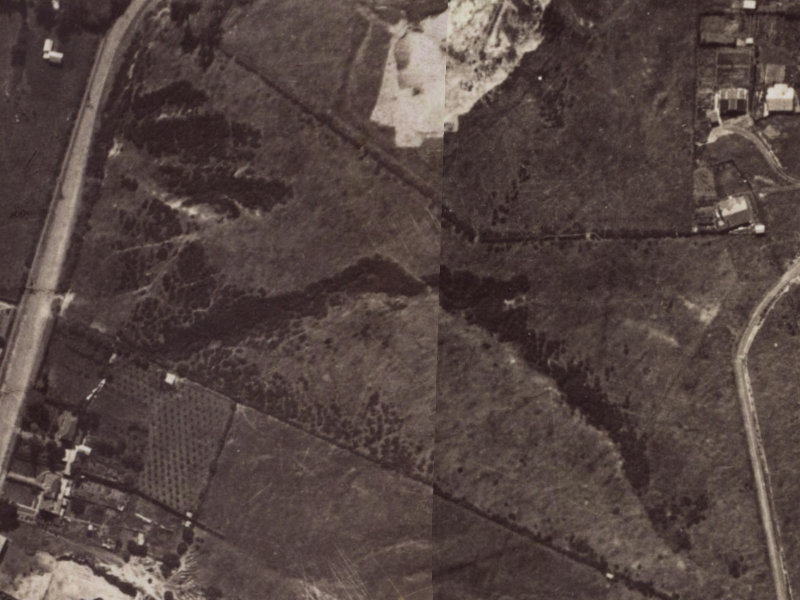 53 Parklands Drive from the air, 1925-1929