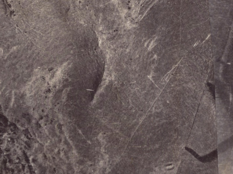 237 Cannon Hill Crescent from the air, 1925-1929