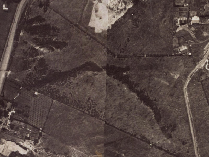 55 Parklands Drive from the air, 1925-1929