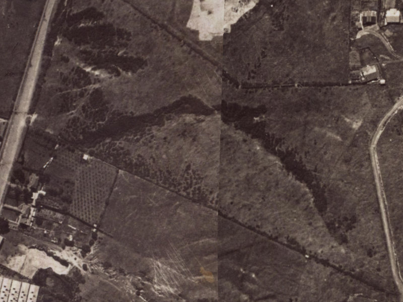 56 Parklands Drive from the air, 1925-1929