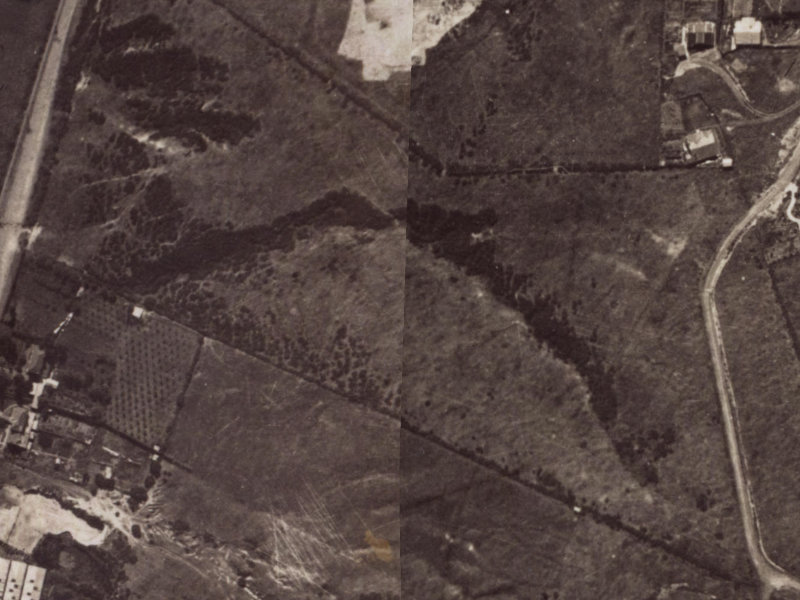 58 Parklands Drive from the air, 1925-1929