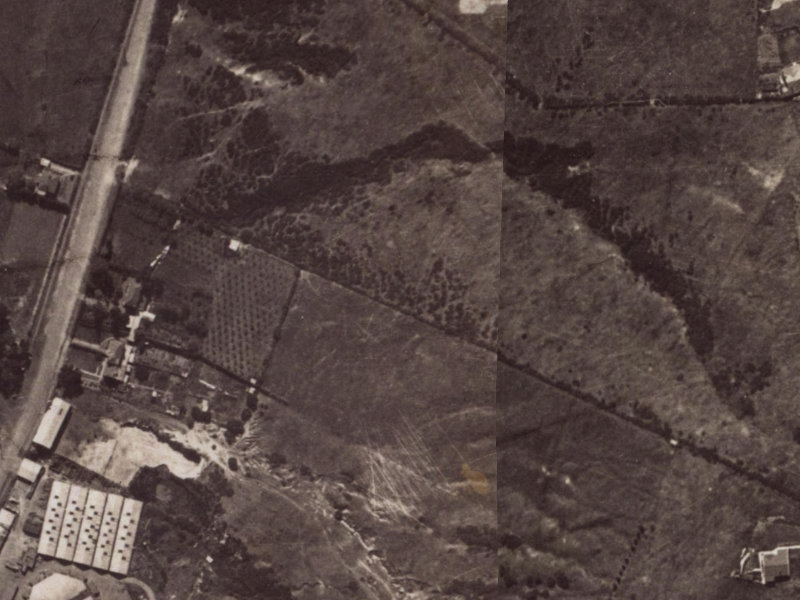 Morven Terrace from the air, 1925-1929