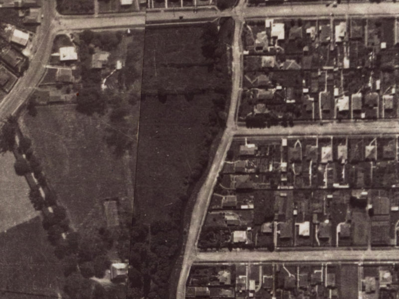 155 Waimea Terrace from the air, 1925-1929