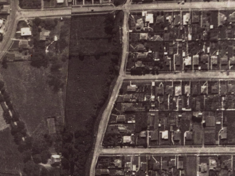 155 Waimea Terrace from the air, 1925-1929