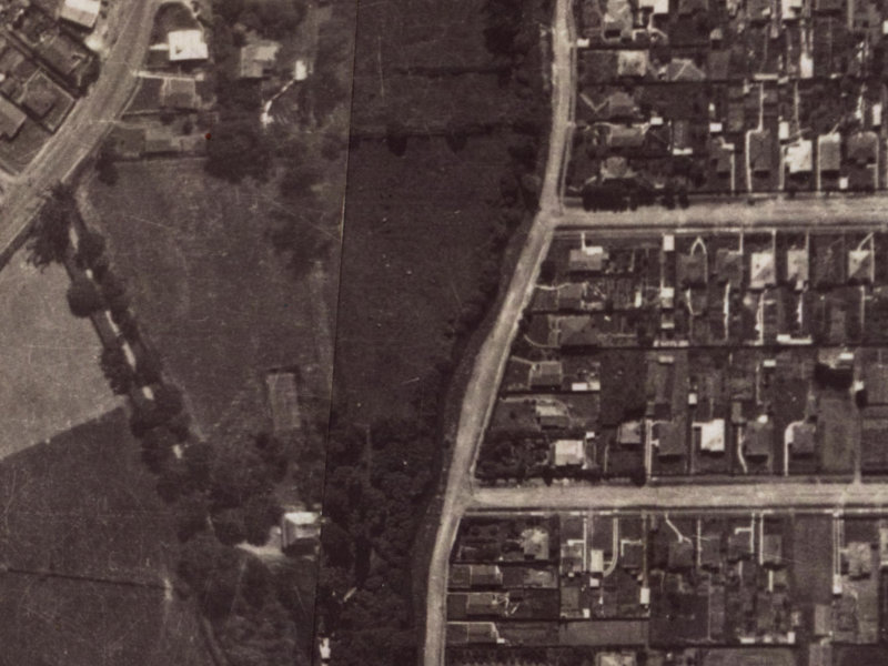 157 Waimea Terrace from the air, 1925-1929