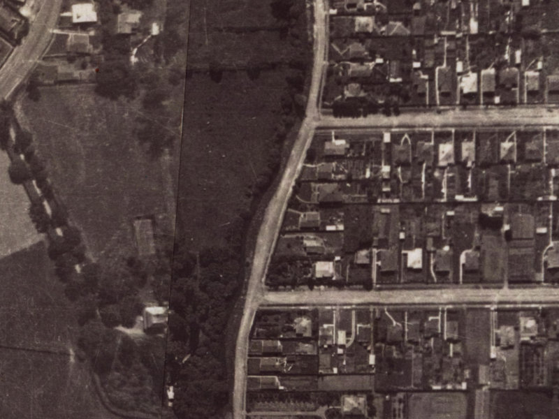 161 Waimea Terrace from the air, 1925-1929