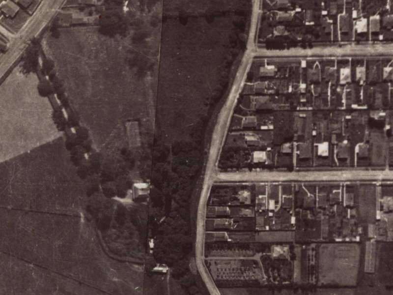 171 Waimea Terrace from the air, 1925-1929