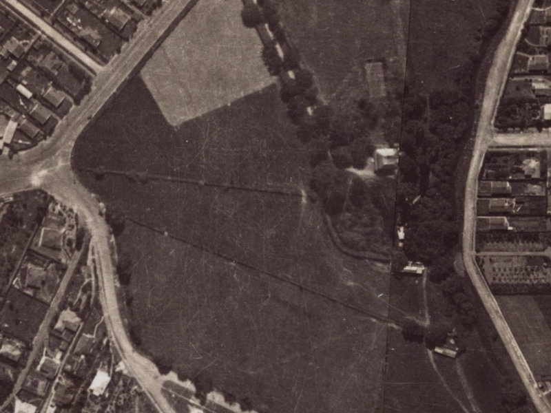 Remuera Avenue from the air, 1925-1929