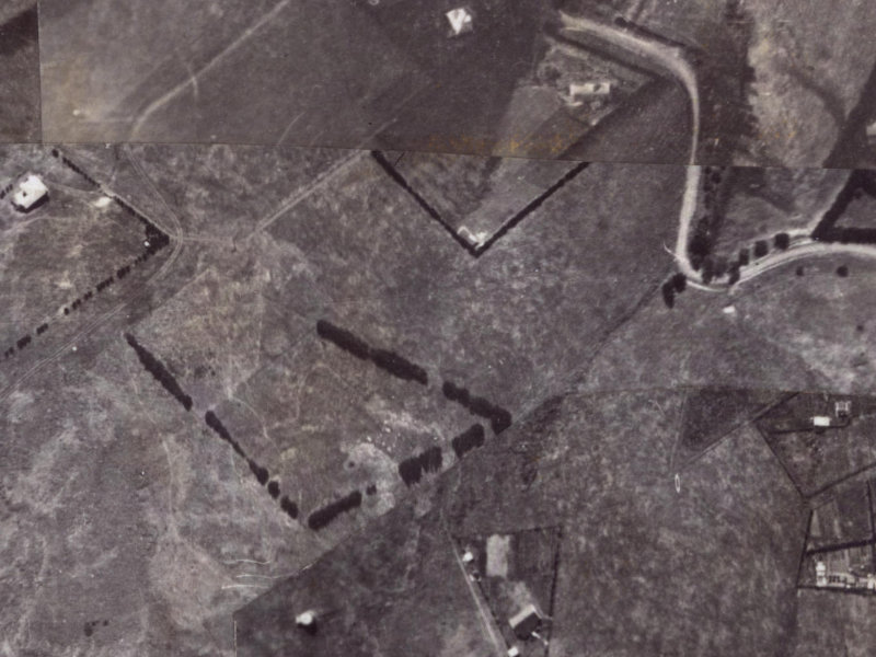 Muritai Terrace from the air, 1925-1929