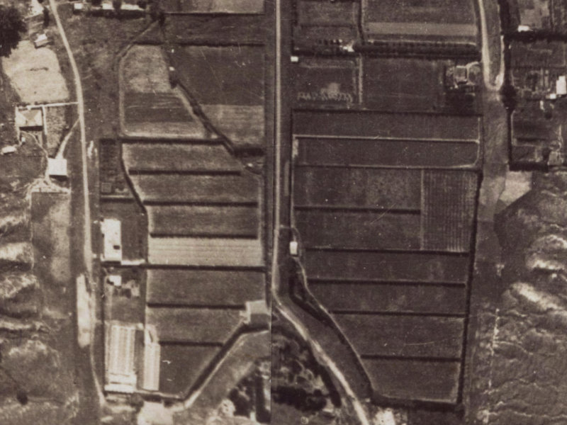 81-85 Hillsborough Terrace from the air, 1925-1929