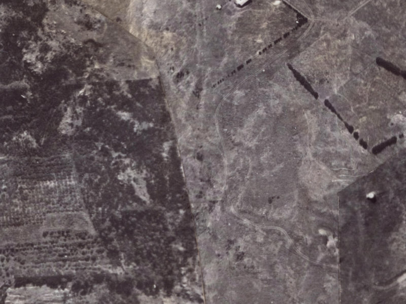 182 Major Hornbrook Road from the air, 1925-1929
