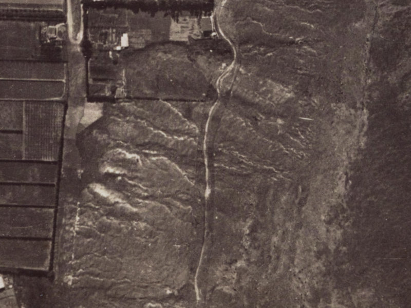 58 Rapaki Road from the air, 1925-1929