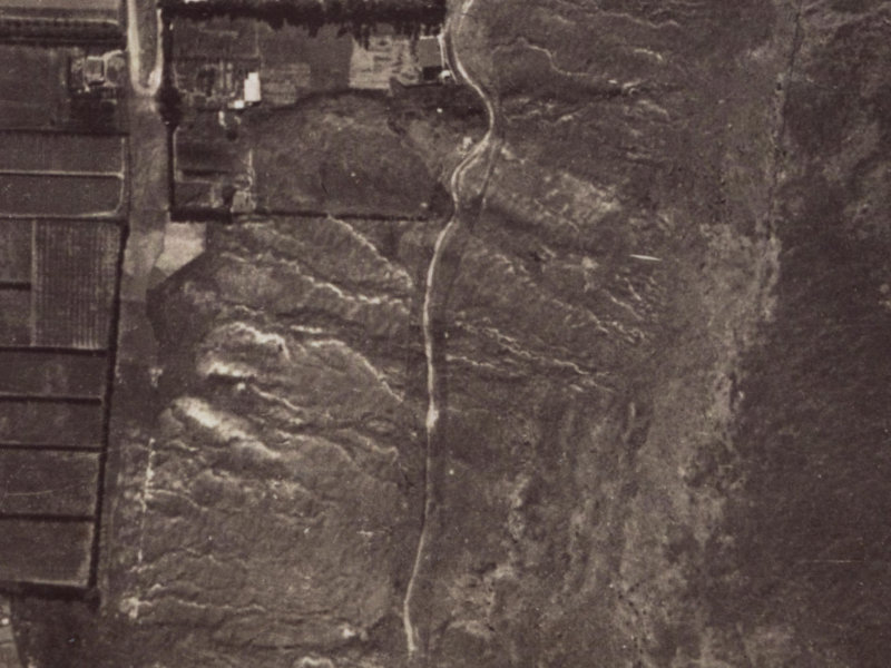 54 Rapaki Road from the air, 1925-1929