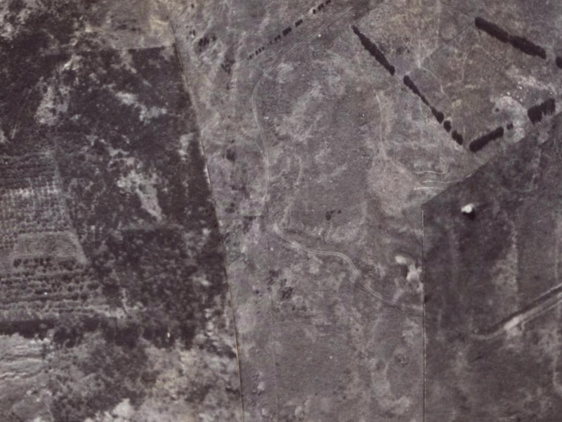 194 Major Hornbrook Road from the air, 1925-1929