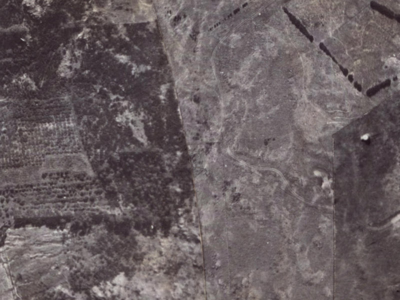 190 Major Hornbrook Road from the air, 1925-1929