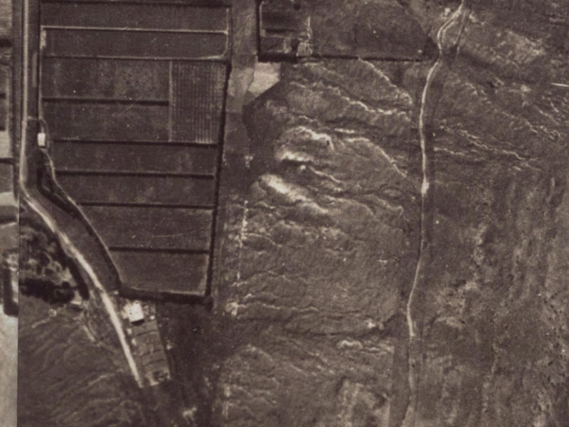 19 Heybridge Lane from the air, 1925-1929