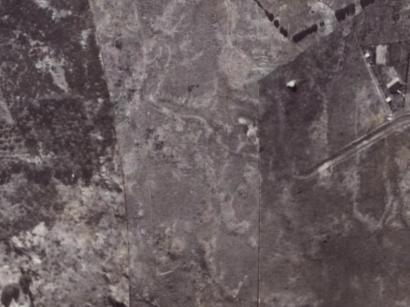 202 Major Hornbrook Road from the air, 1925-1929