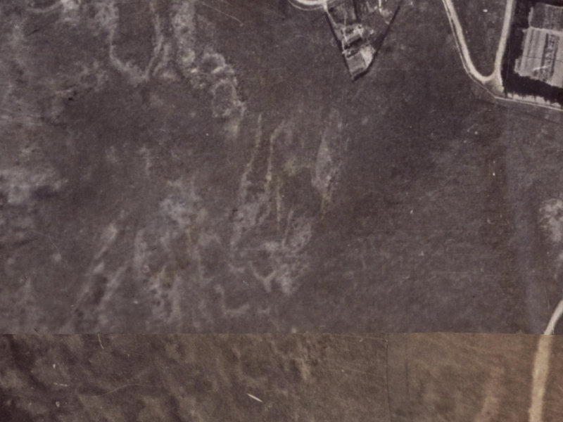 251 Major Hornbrook Road from the air, 1925-1929