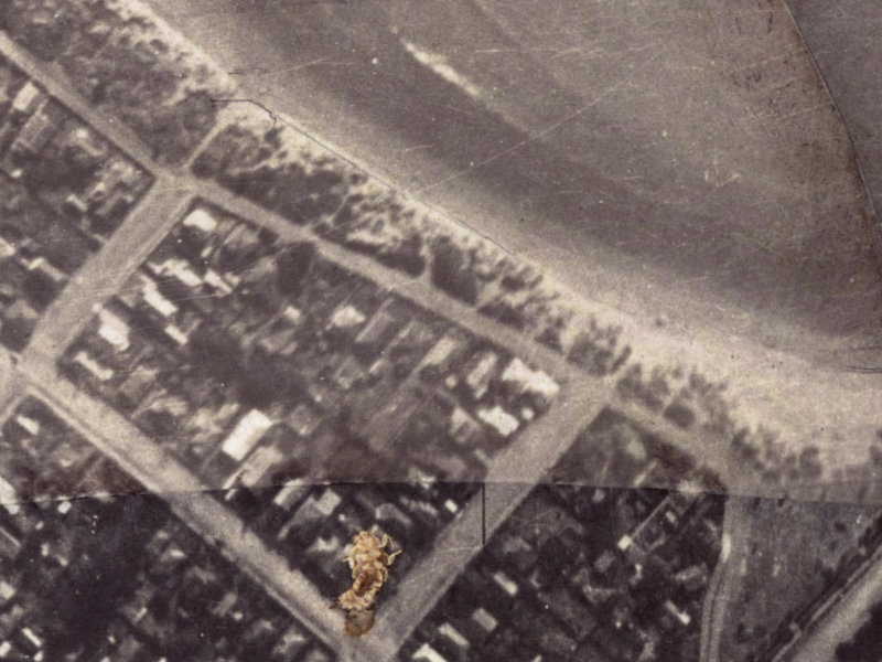 126 Esplande from the air, 1925-1929