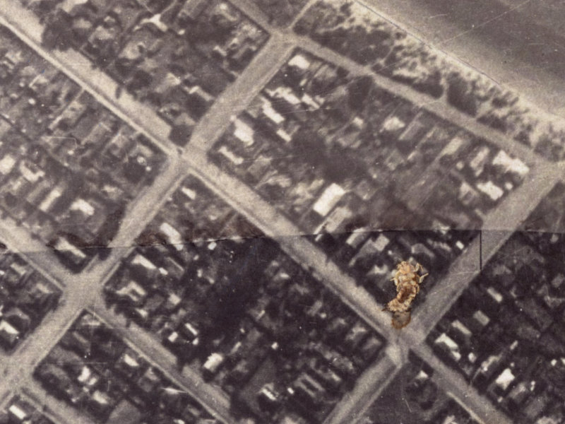 117 Nayland Street from the air, 1925-1929