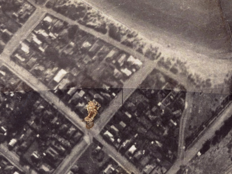 6 Head Street from the air, 1925-1929