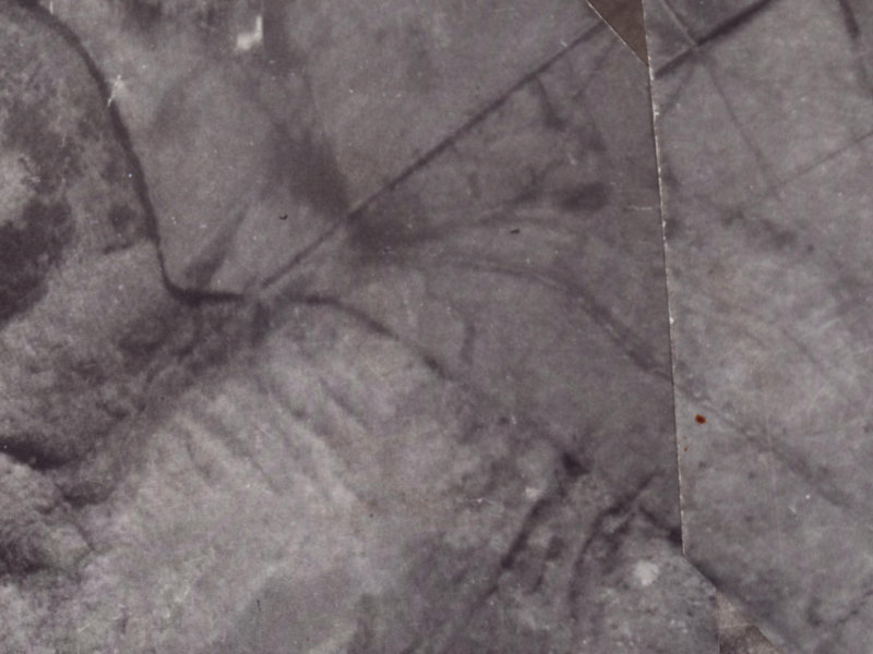 15 Gunns Crescent from the air, 1925-1929
