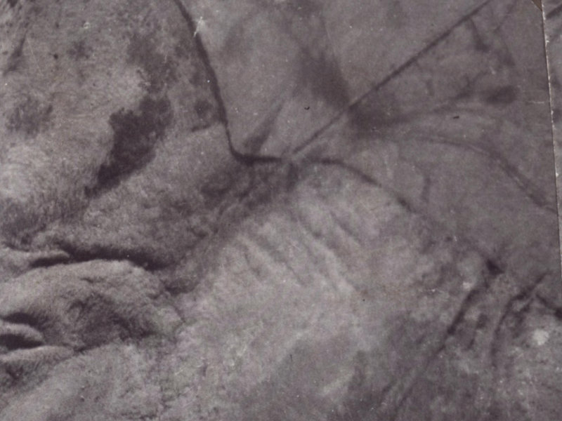 Holliss Avenue from the air, 1925-1929