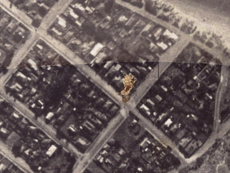 127 Nayland Street from the air, 1925-1929