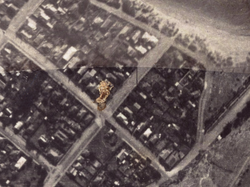 11 Head Street from the air, 1925-1929