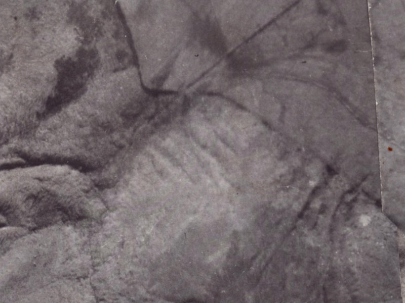 39 Holliss Avenue from the air, 1925-1929