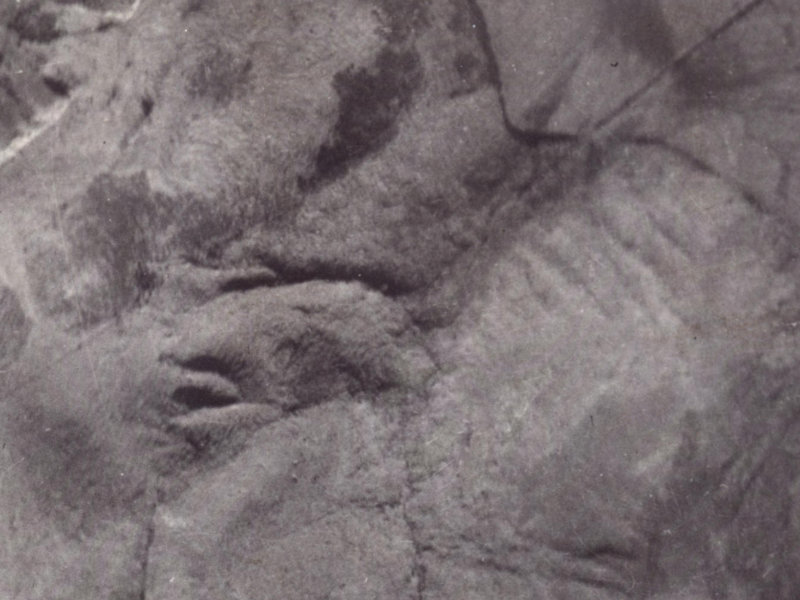 53C Holliss Avenue from the air, 1925-1929