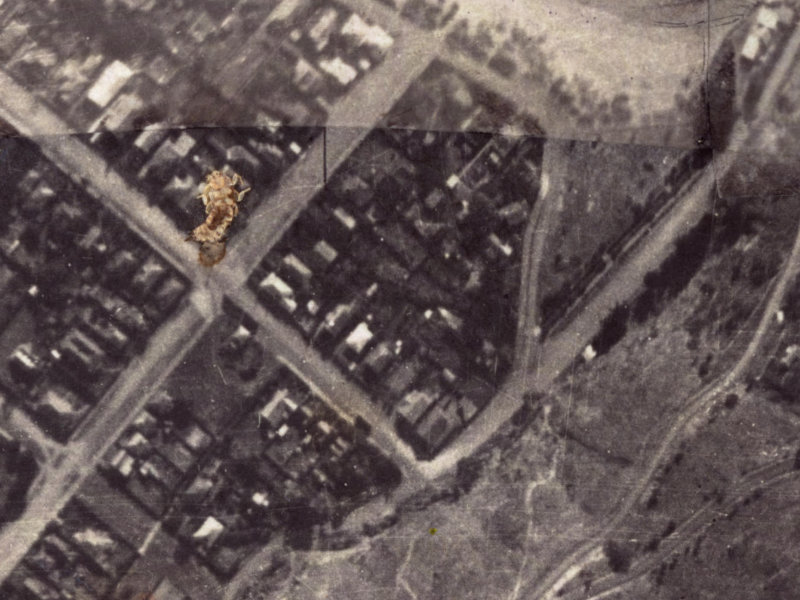 135 Nayland Street from the air, 1925-1929
