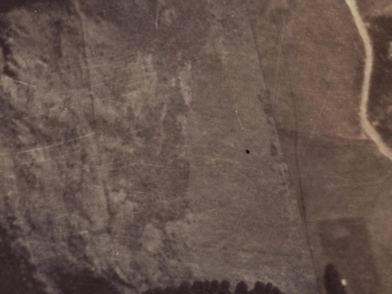 290 Major Hornbrook Road from the air, 1925-1929