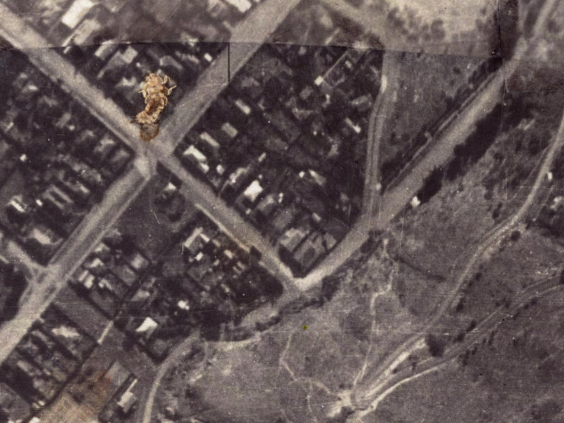 137 Nayland Street from the air, 1925-1929