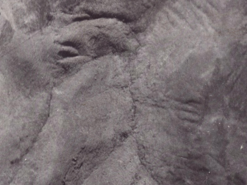 70 Holliss Avenue from the air, 1925-1929