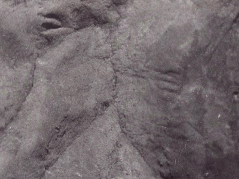 4 Arahura Place from the air, 1925-1929