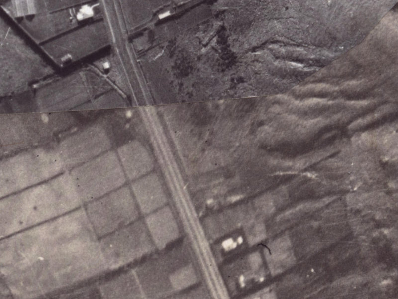 Bowenvale Avenue from the air, 1925-1929