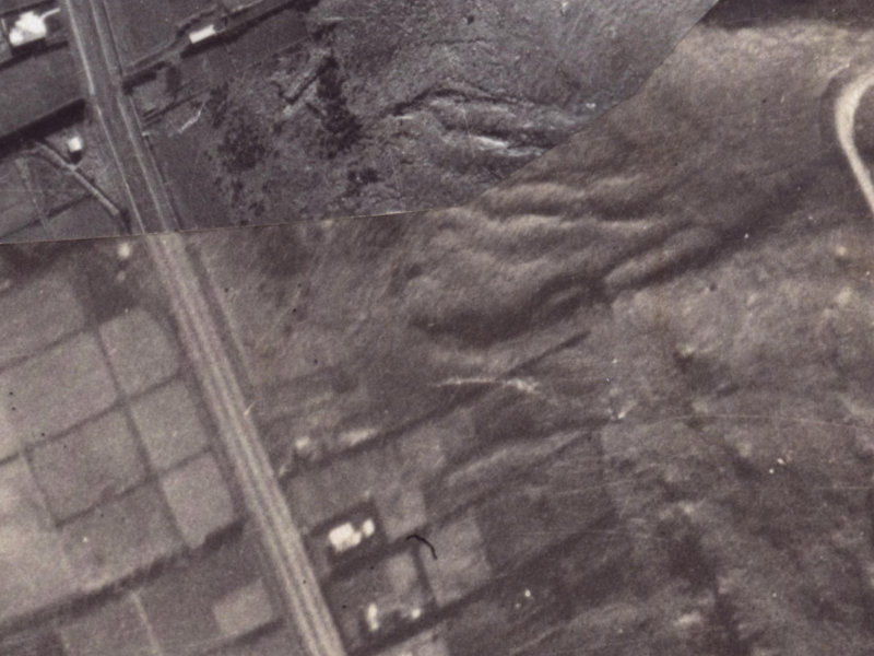 73A Bowenvale Avenue from the air, 1925-1929