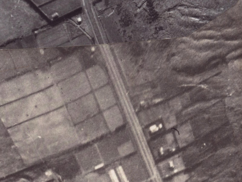 48B Bowenvale Avenue from the air, 1925-1929