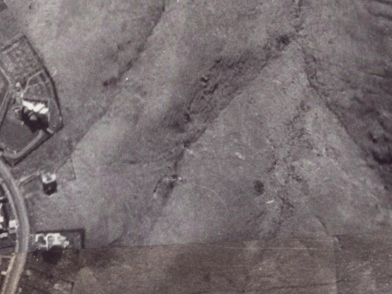 5 Arahura Place from the air, 1925-1929