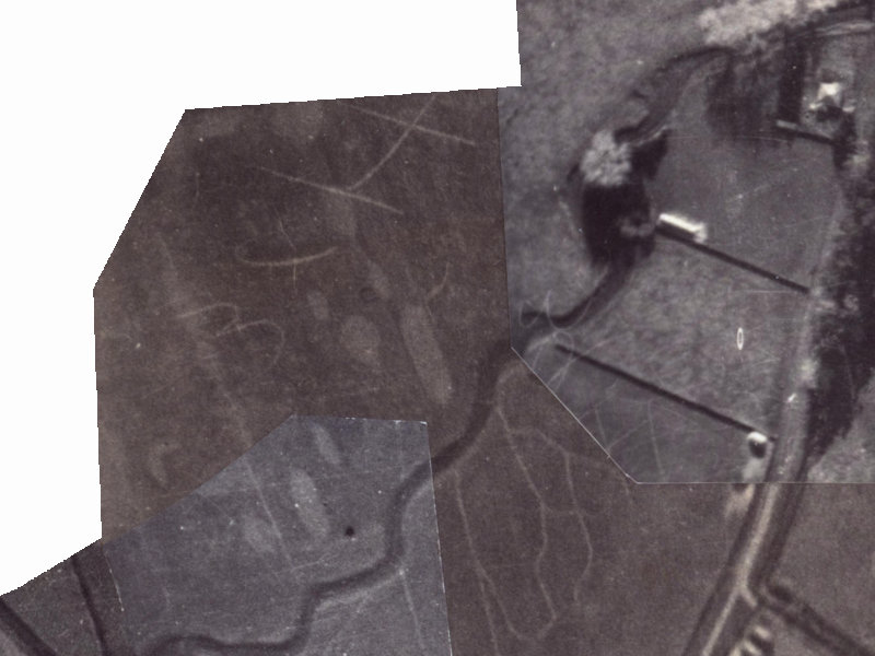 29 Waiau Street from the air, 1925-1929