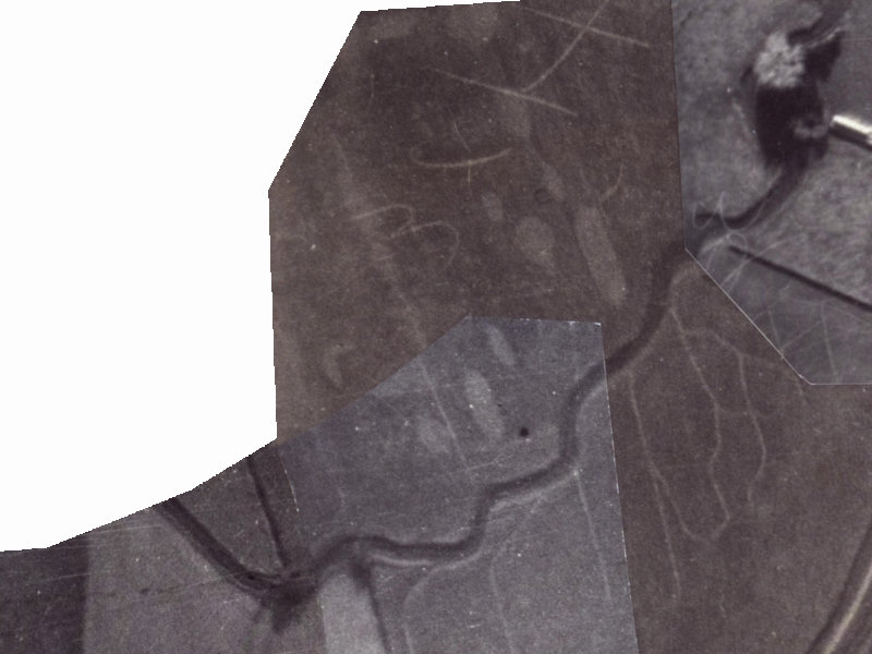 38 Waiau Street from the air, 1925-1929
