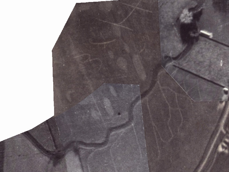 36 Waiau Street from the air, 1925-1929
