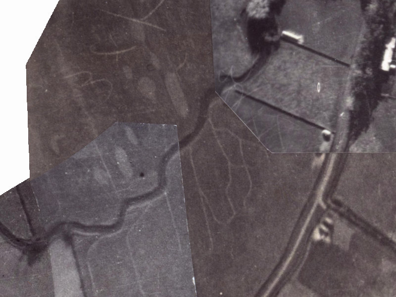 35 Waiau Street from the air, 1925-1929