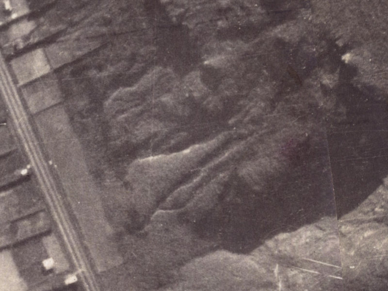 101E Bowenvale Avenue from the air, 1925-1929