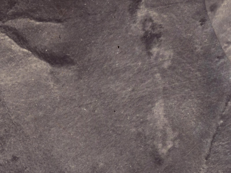 Tiroroa Lane from the air, 1925-1929