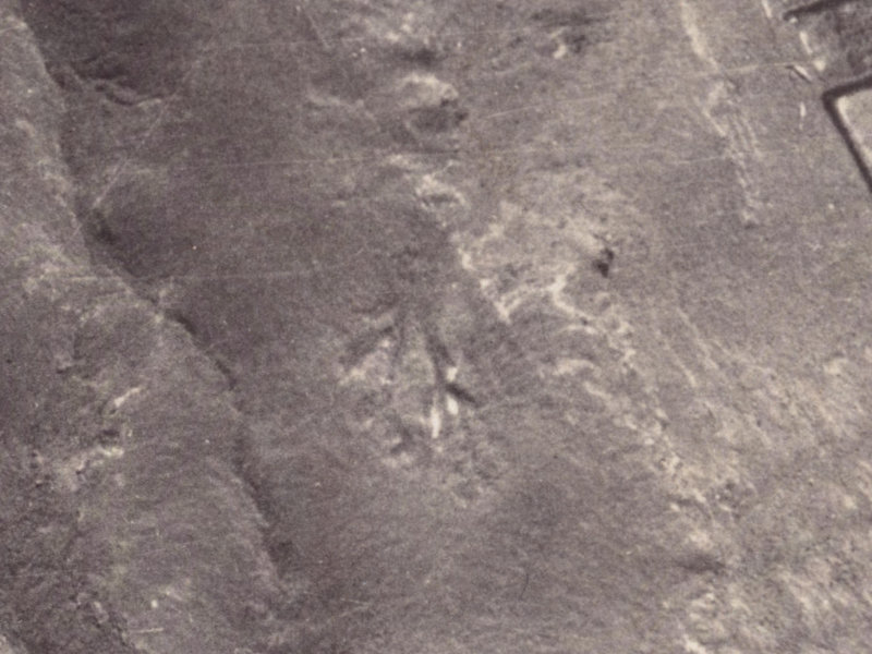 7 Scarff Place from the air, 1925-1929