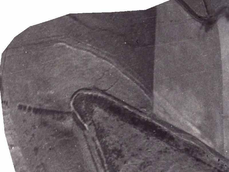 304 Worsleys Road from the air, 1925-1929