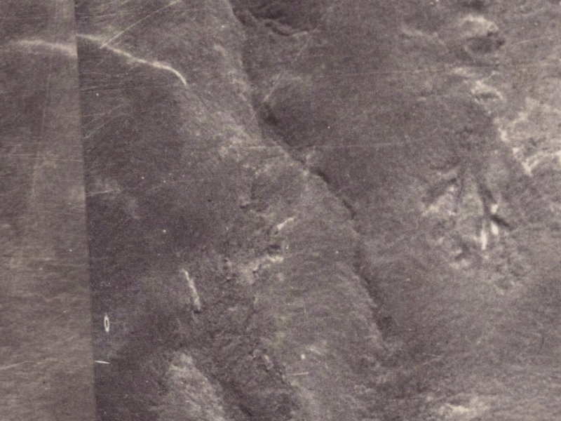 49 Longhurst Terrace from the air, 1925-1929
