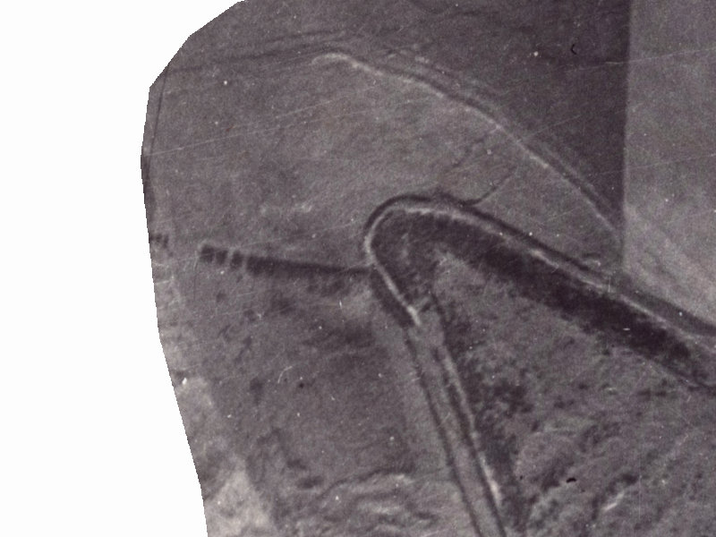 Hadleigh Lane from the air, 1925-1929